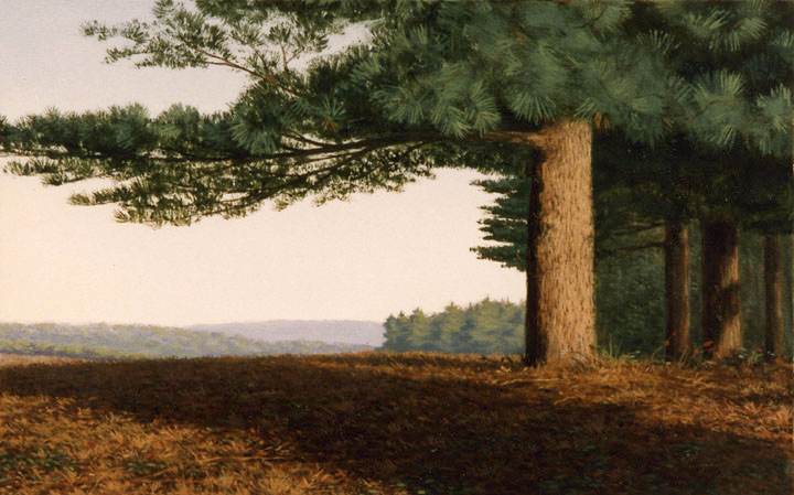 L4.14 - shadow of the cedar